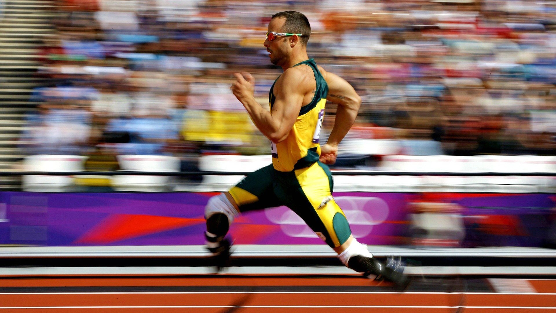 “水上芭蕾：艺术与竞技的完美融合，2025新加坡游泳锦标赛亮点”